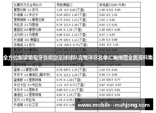 全方位解读葡萄牙各级别足球球队完整详尽名单汇编指南全面资料集