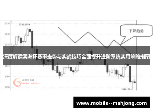 深度解读澳洲杯赛事走势与实战技巧全面提升进阶系统实用策略指南