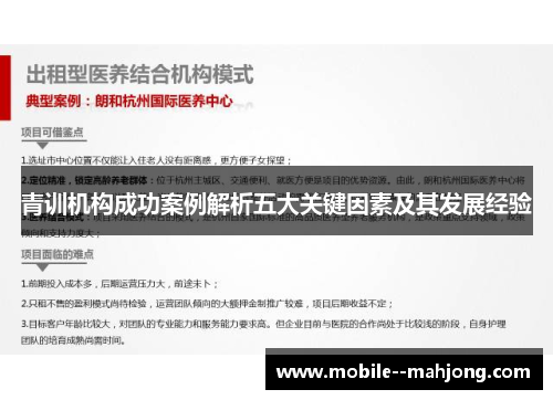 青训机构成功案例解析五大关键因素及其发展经验